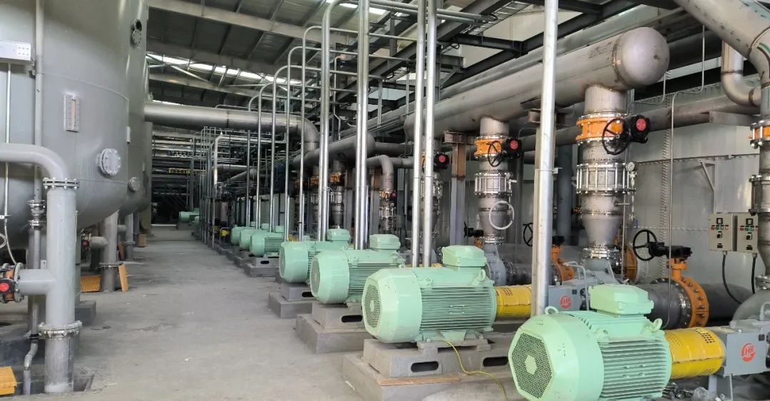 ��ͷ�� | ����Ү�κ���ֵ�ؼ�̼�����Ŀ˳���ˮ����������������������������